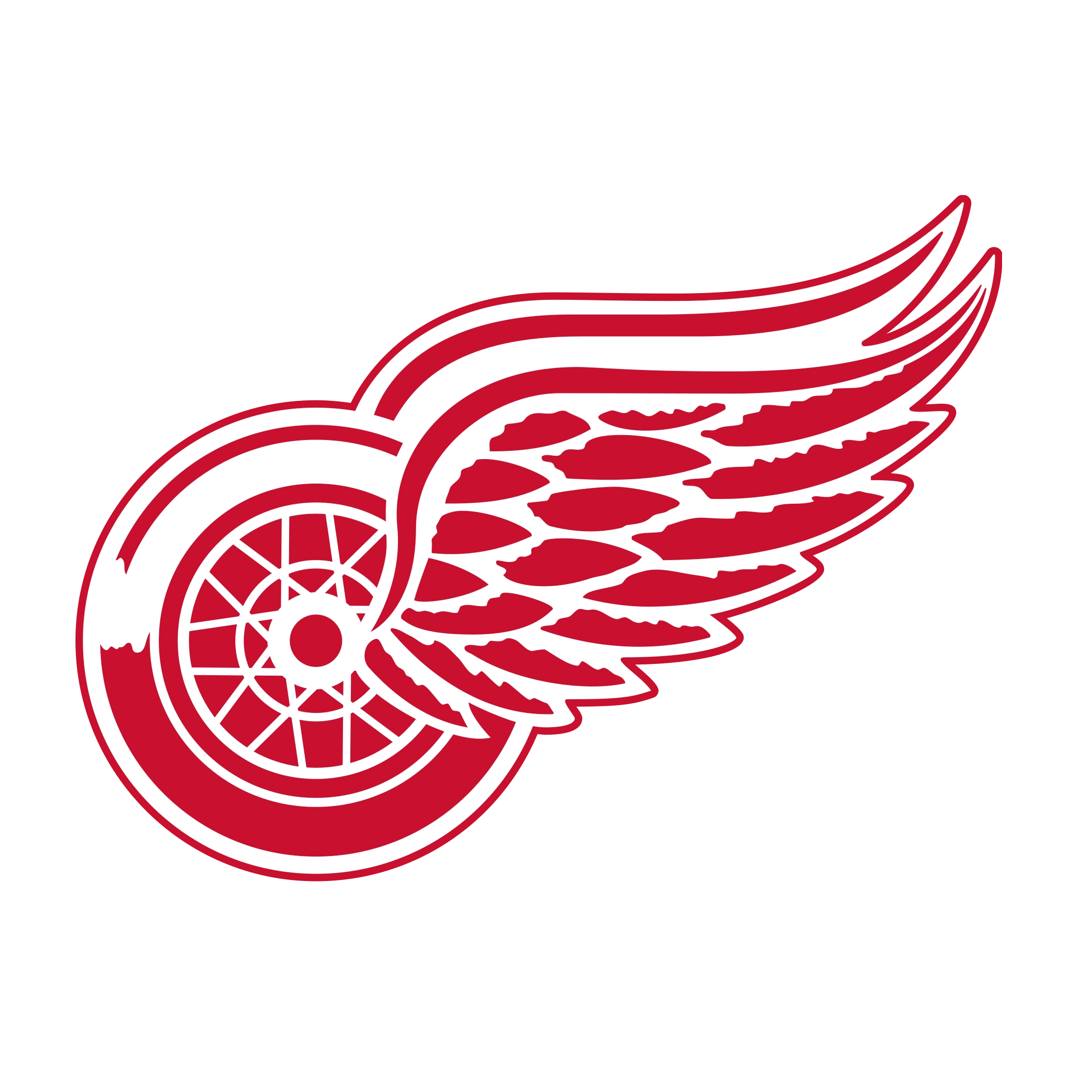 Red Wings Team